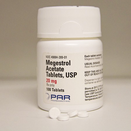Megace Megestrol 20 mg