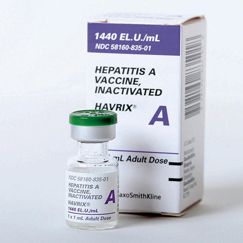 Havrix Hepatitis A adult vaccine 1440 EL.U./ml