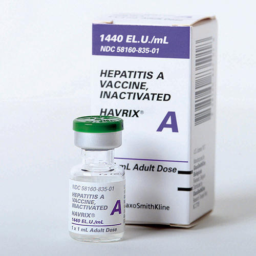 havrix-hepatitis-a-adult-vaccine-1440-el-u-ml-3s-corporation